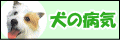 Sample Banner